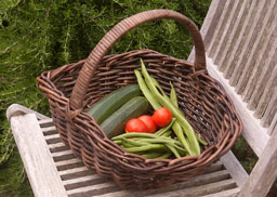 Wicker Garden Baskets