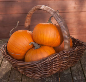Autumn baskets
