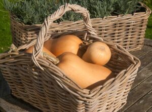 Grey Oblong Trug with Butternut Squash