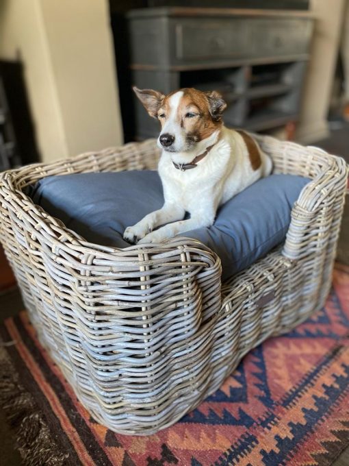 Raised Oblong Natural Daisy Dog Bed
